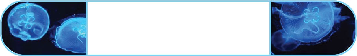 glitch title